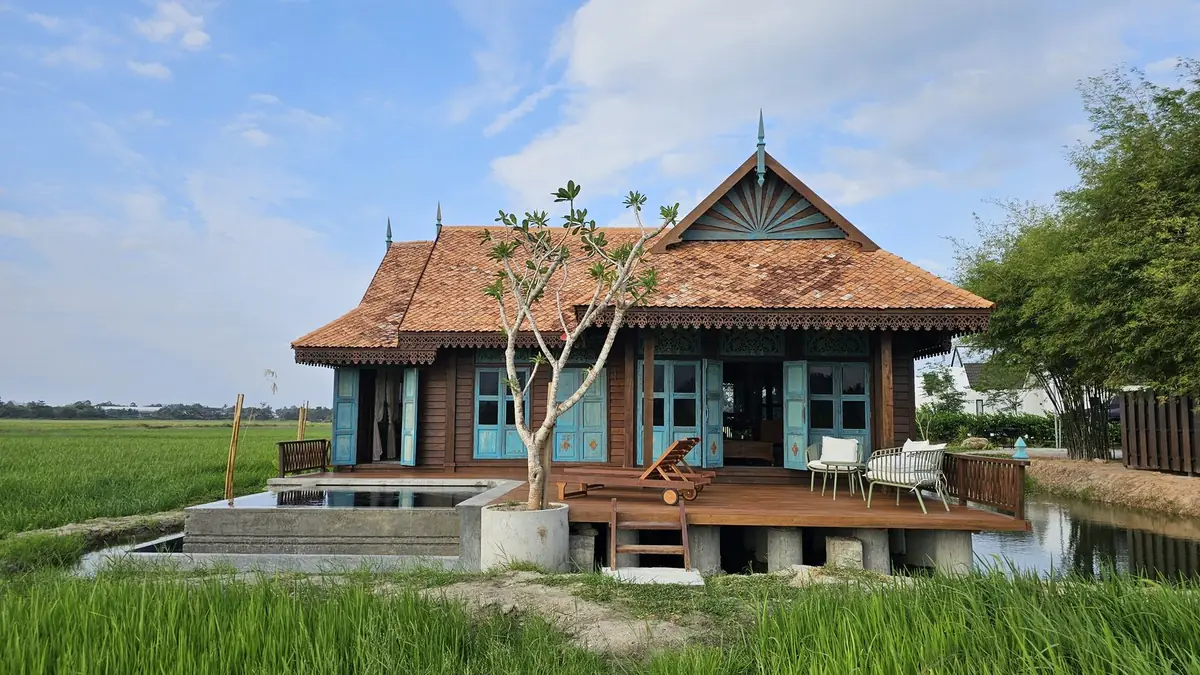 Plunge pool persendirian di dek Rumah Uda menghadap sawah padi