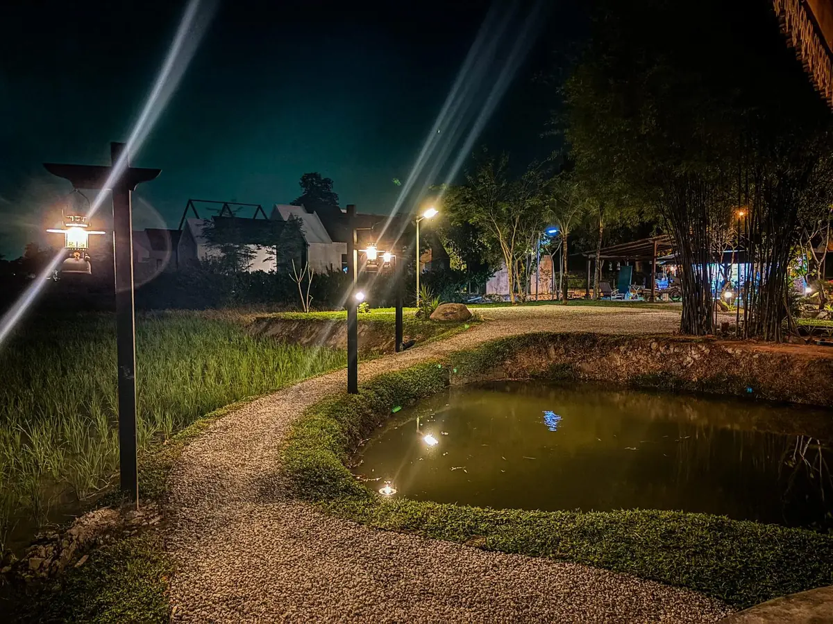 Lantern-lit gravel path curving around the pond at night